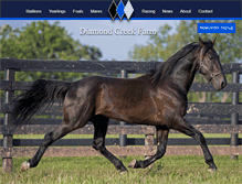 Tablet Screenshot of diamondcreekfarm.com